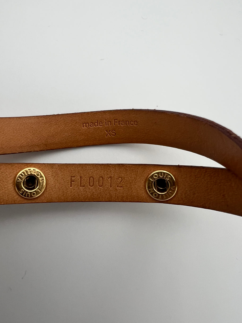 Louis Vuitton Florentine Belt bag xs