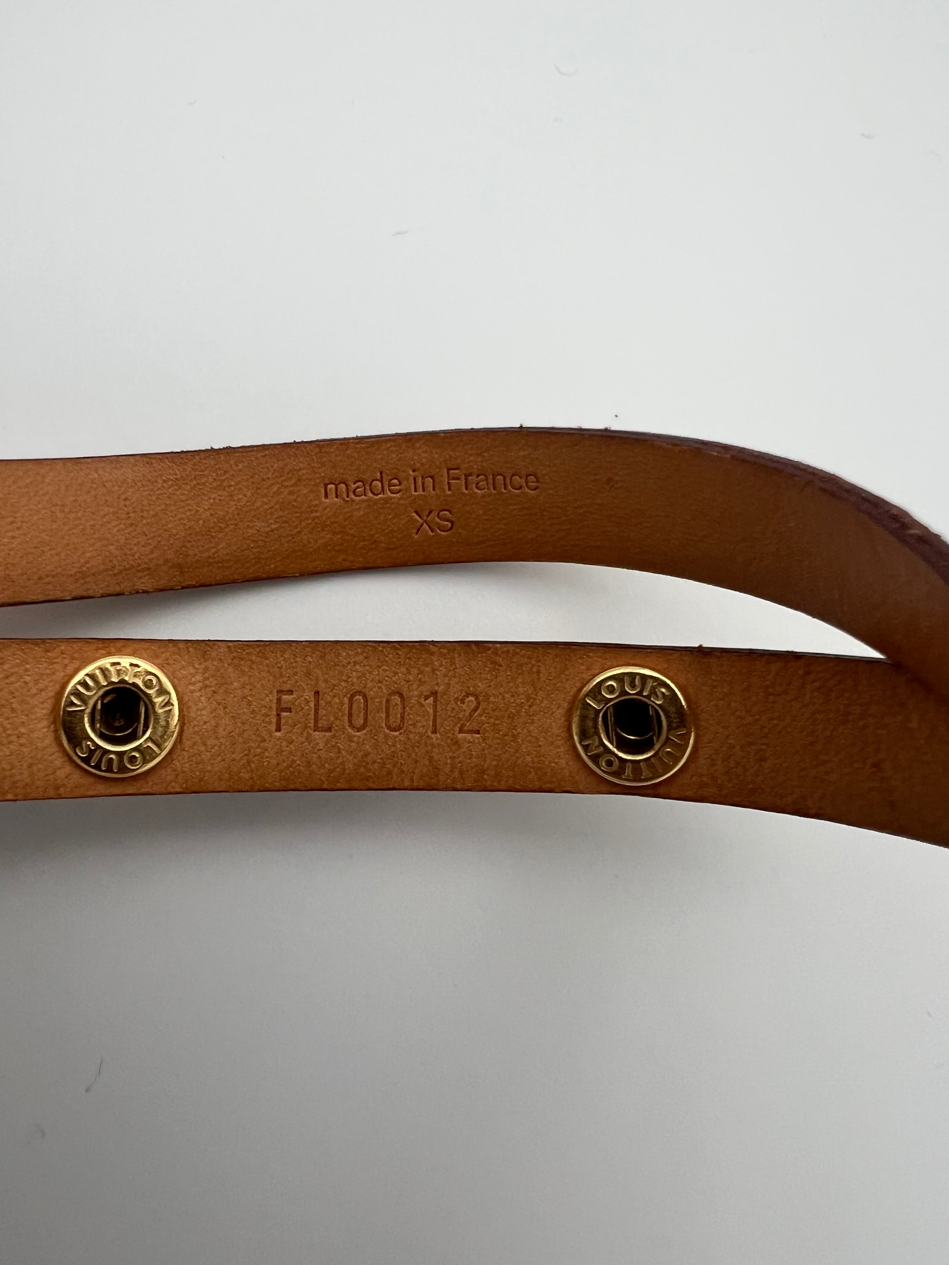 Louis Vuitton Florentine Belt bag xs