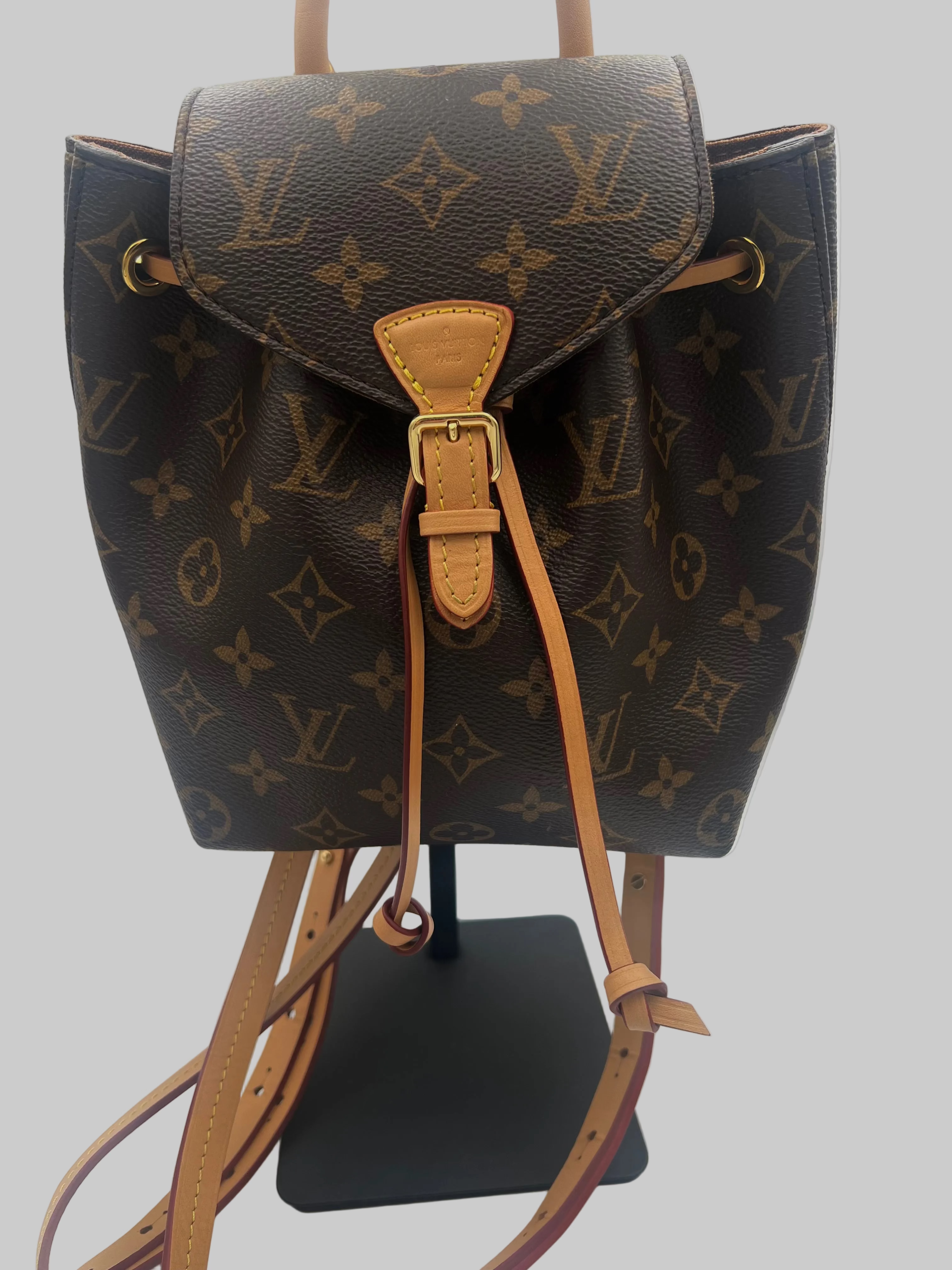 Louis Vuitton Montsouris Backpack