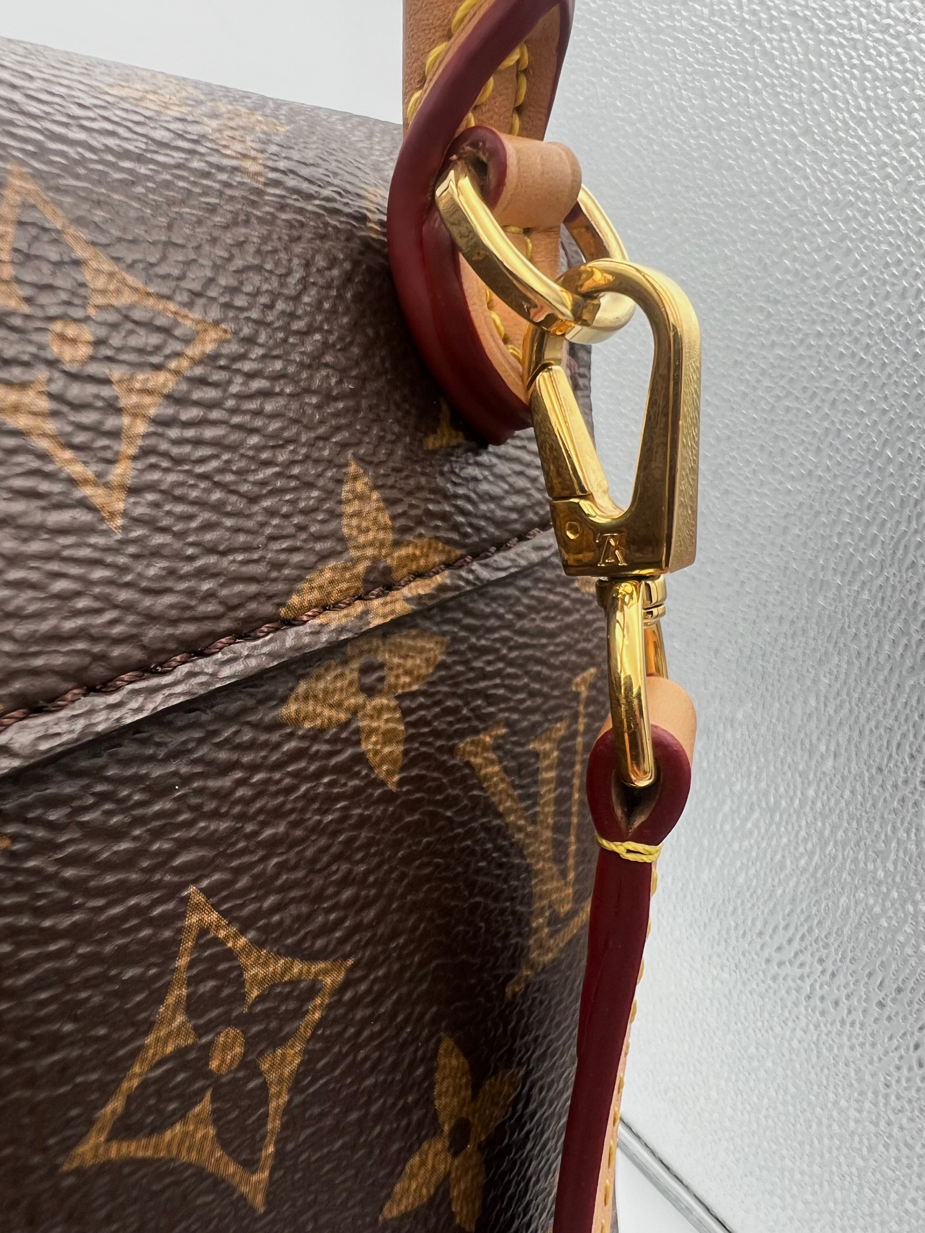 Louis Vuitton Montsouris Backpack