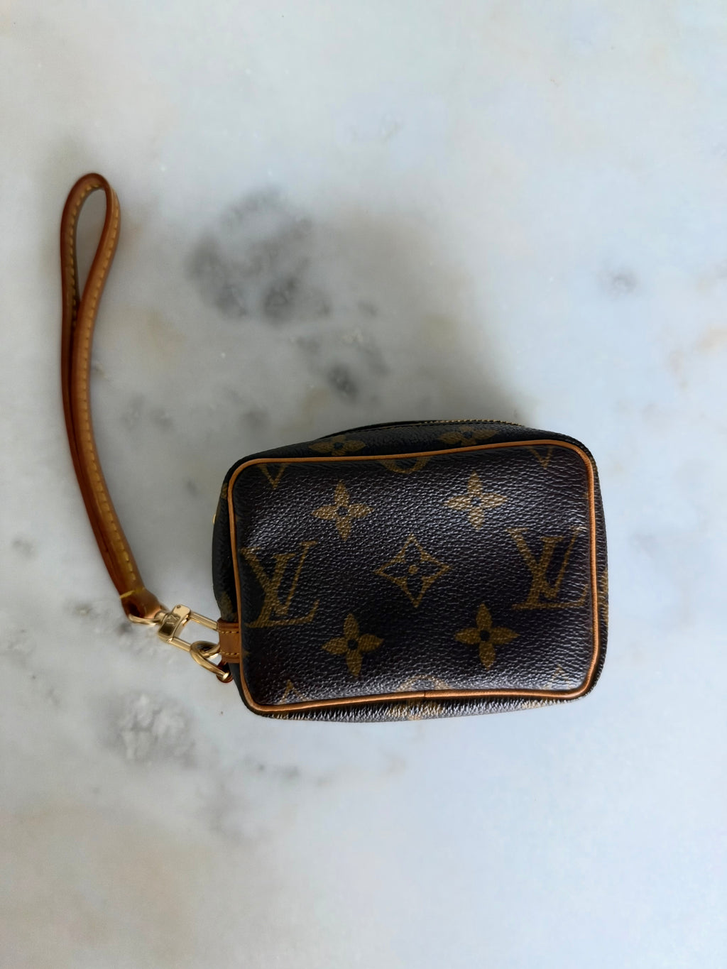 Louis Vuitton Monogram Wapity Case