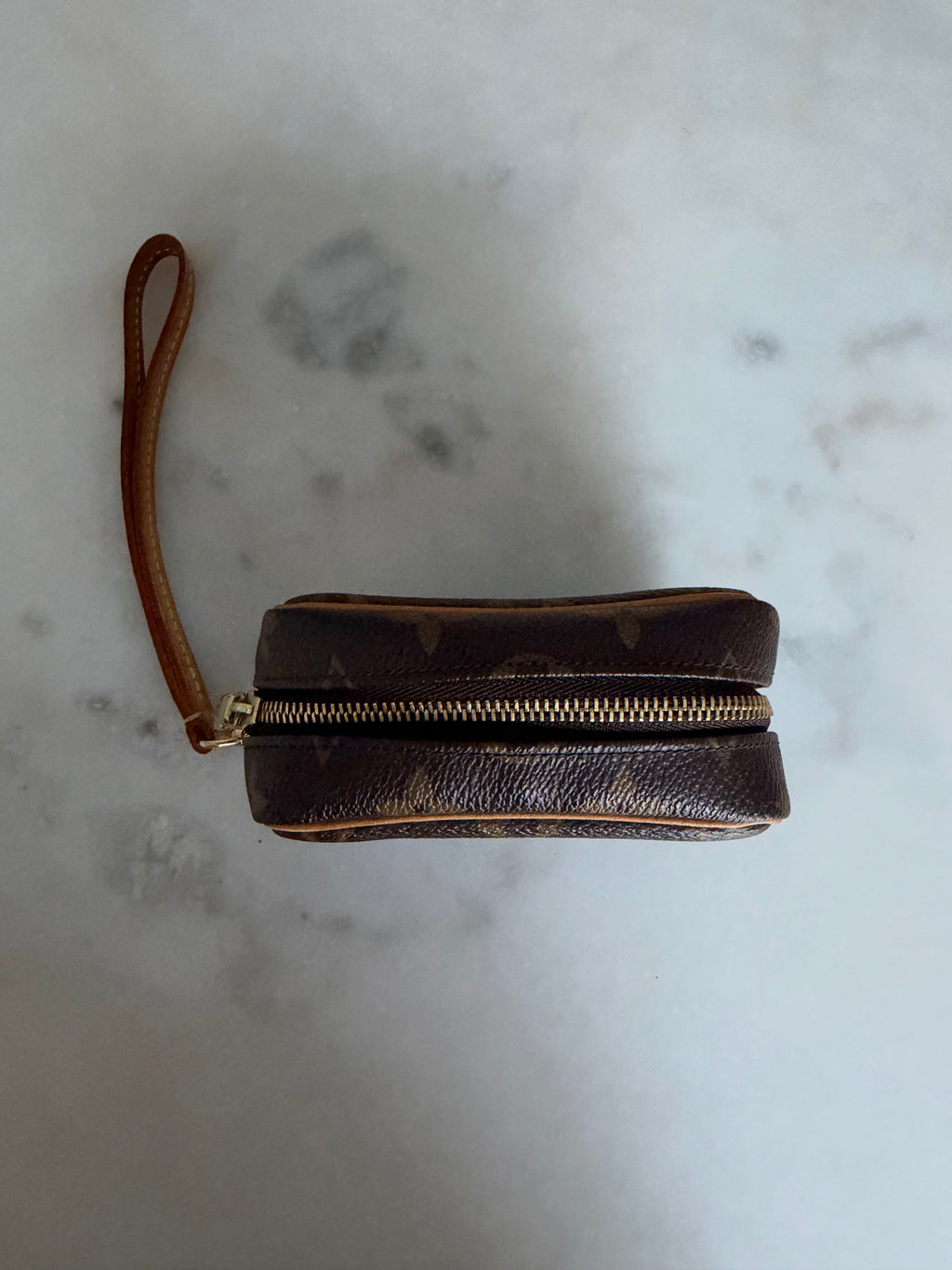 Louis Vuitton Monogram Wapity Case