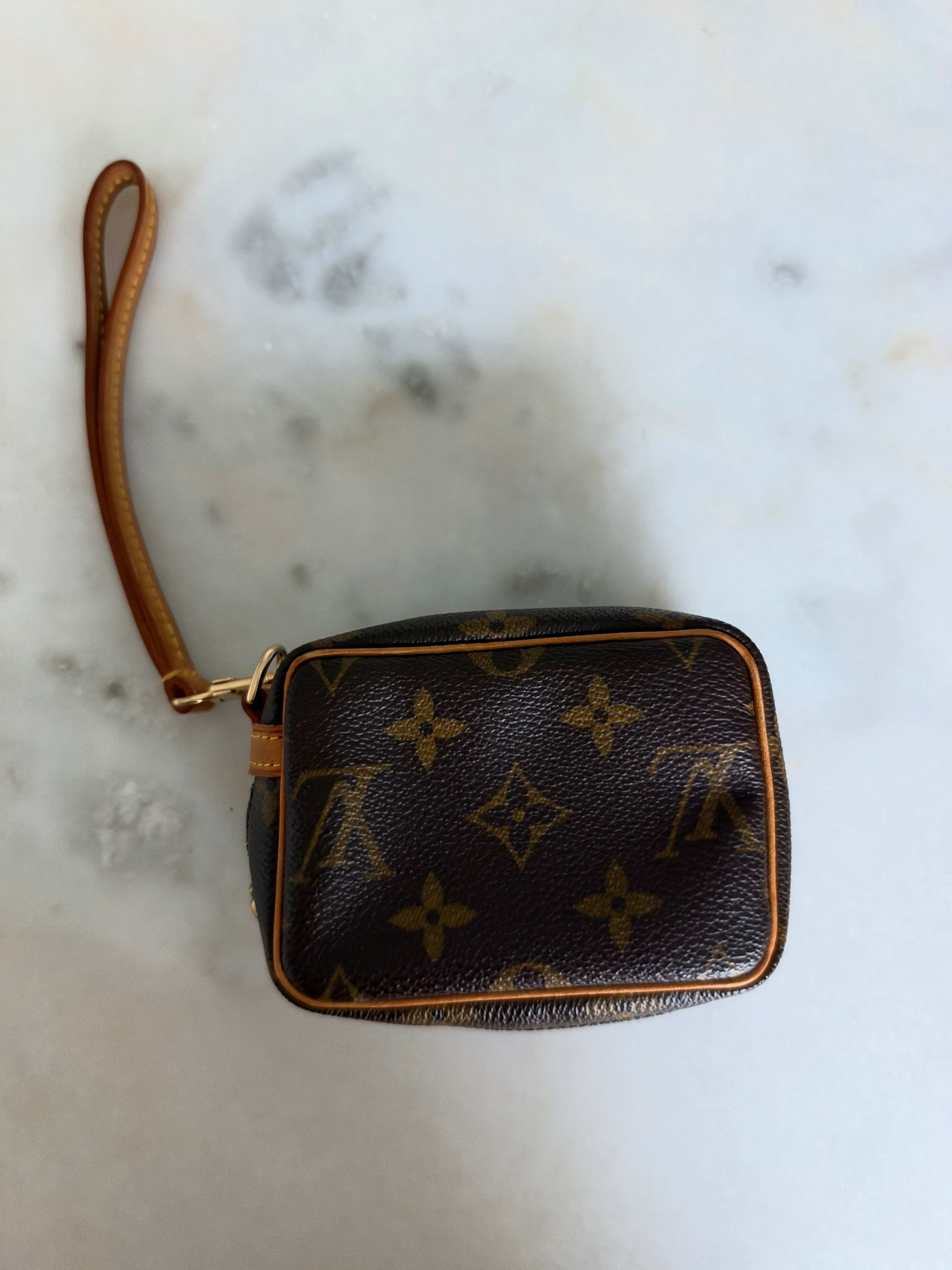 Louis Vuitton Monogram Wapity Case