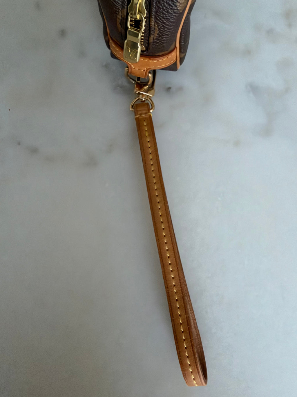 Louis Vuitton Monogram Wapity Case