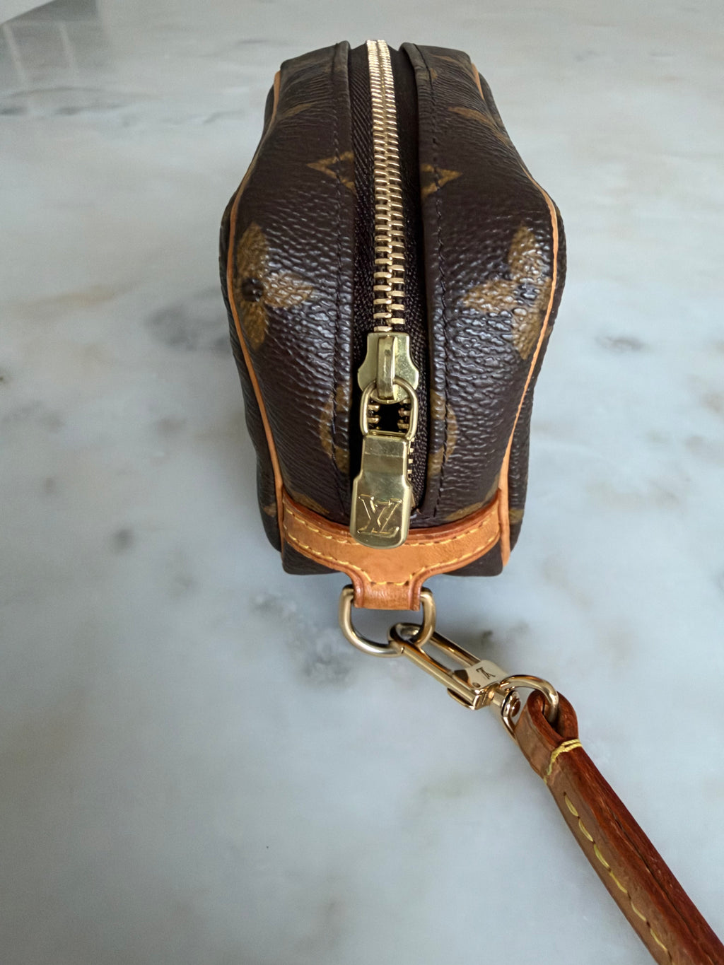 Louis Vuitton Monogram Wapity Case