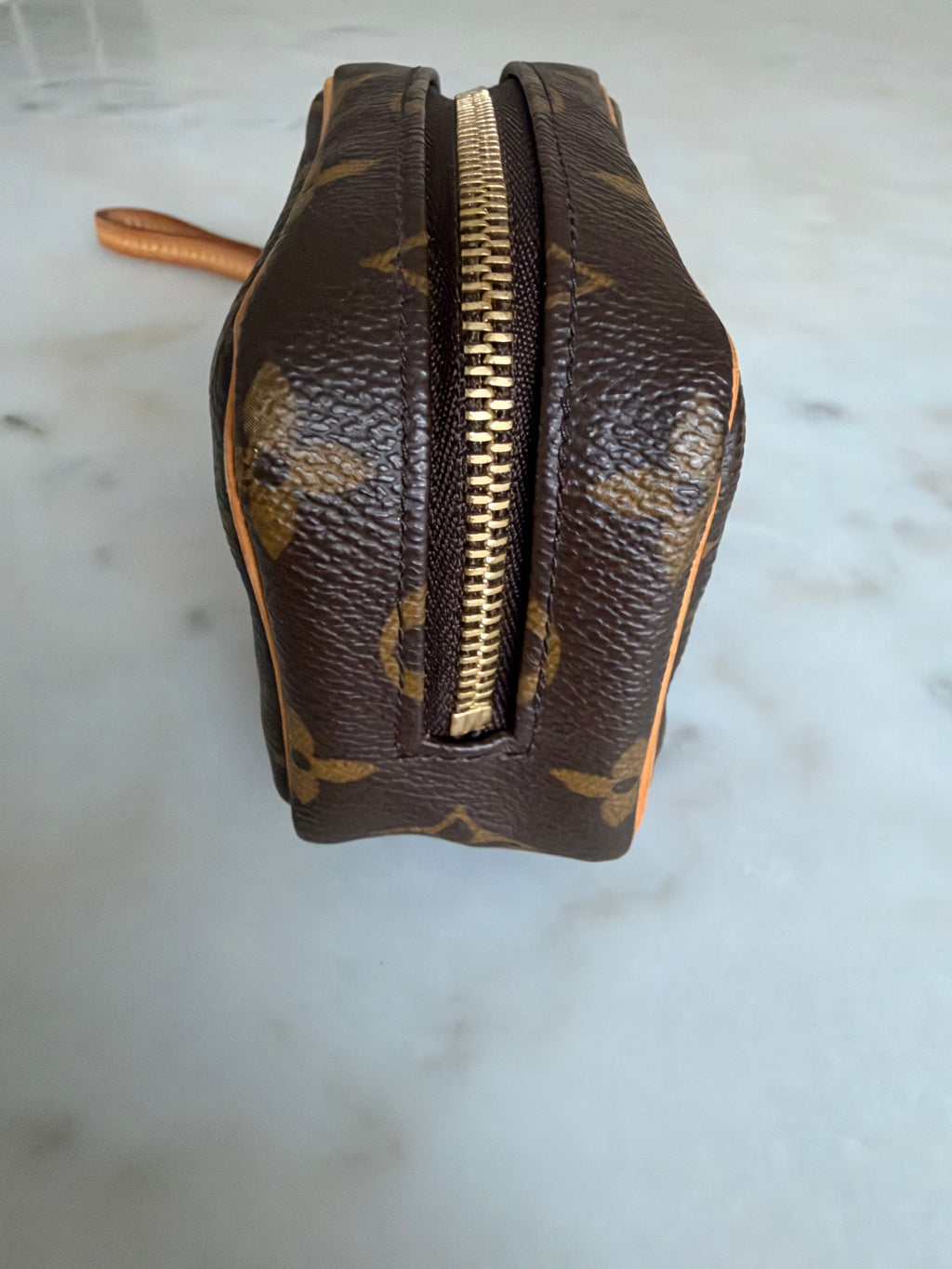 Louis Vuitton Monogram Wapity Case